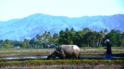 First Valley 640 cropped