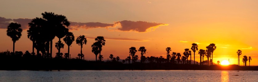 The-Sudd-Is-The-Largest-Wetlands-And-The-Largest-Freshwater-Wetland-In-The-Nile-Basin-South-Sudan