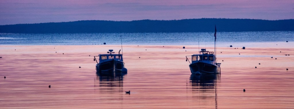 Morning at Campobello